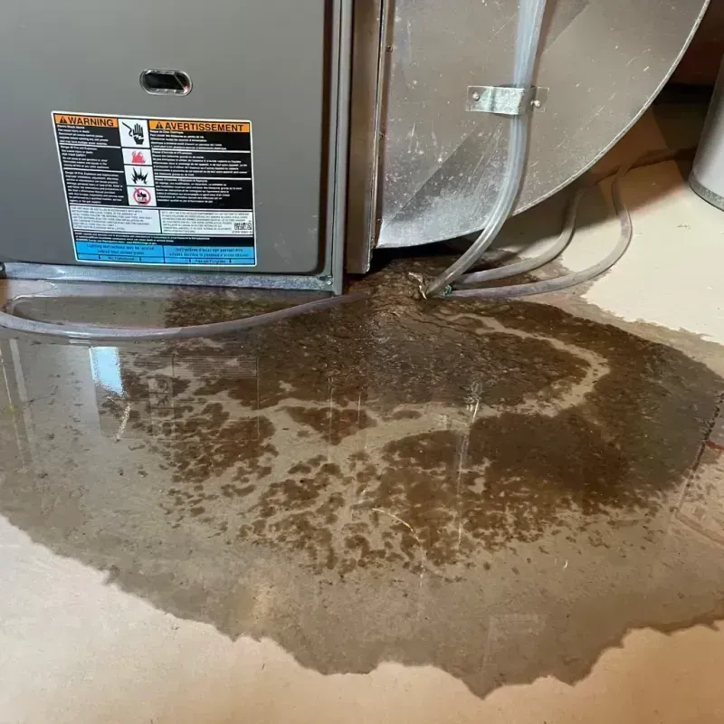 Appliance Leak Cleanup in Buckeye Lake, OH